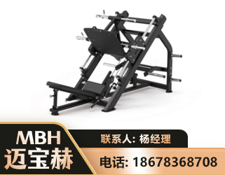 郑州45°倒蹬训练器
