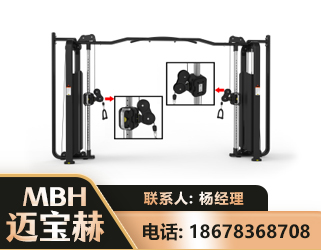 郑州大飞鸟训练器
