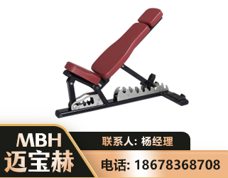 郑州可调哑铃椅